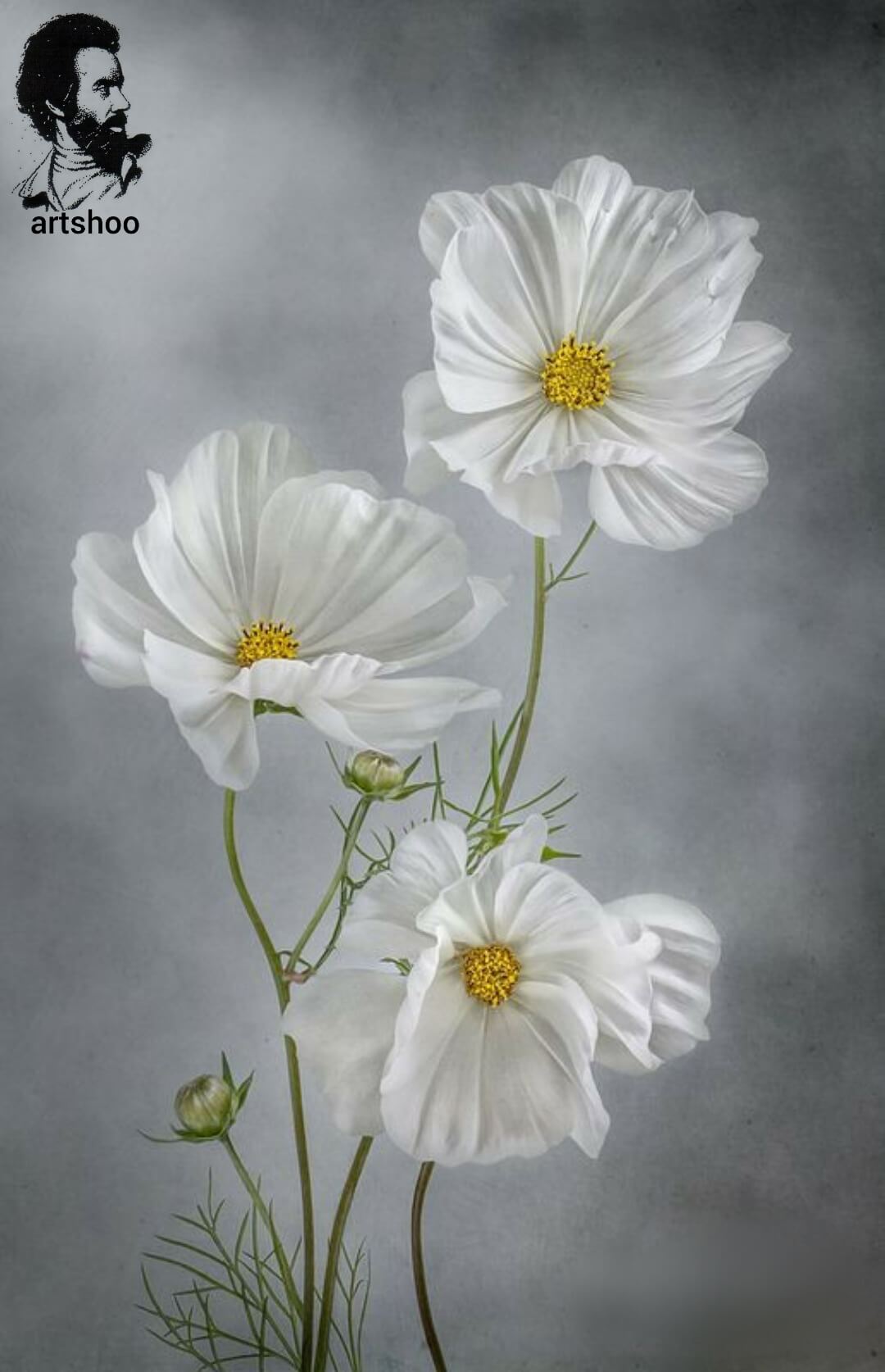 آموزش نقاشی رنگ روغن